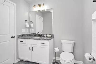 419 Dolomite Court, Chapin, SC 29036 - Photo 28