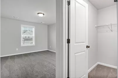 419 Dolomite Court, Chapin, SC 29036 - Photo 30