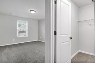 419 Dolomite Ct, Chapin, SC 29036 - Photo 30