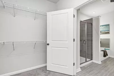 419 Dolomite Court, Chapin, SC 29036 - Photo 22
