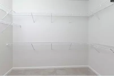 419 Dolomite Court, Chapin, SC 29036 - Photo 32