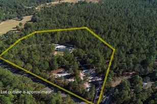 631 Browns Pond Rd, Wagener, SC 29164 - Photo 1