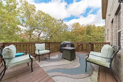 456 Beaumont Park Lane, Blythewood, SC 29016 - Photo 44
