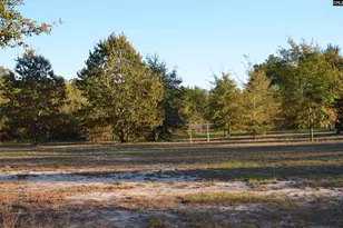 2933 Waters Road B, Bethune, SC 29009 - Photo 60