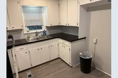 221 Meadowfield Drives, Gaston, SC 29054 - Photo 6