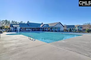 175 Almofini Ln, Chapin, SC 29036 - Photo 60