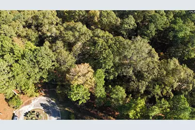 9 Legacy Court, Camden, SC 29020 - Photo 6