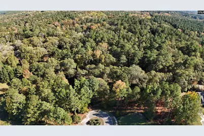 9 Legacy Court, Camden, SC 29020 - Photo 4