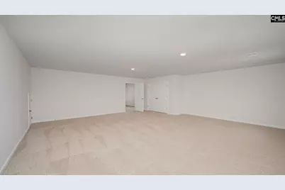 208 Livingston Woods Drive, Irmo, SC 29063 - Photo 18