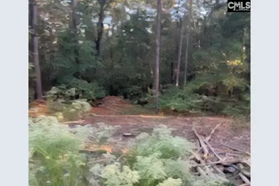 35 Simmons Dr., Camden, SC 29020 - Photo 6