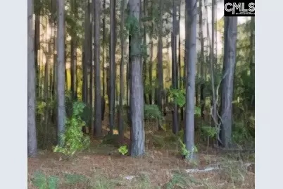 35 Simmons Dr., Camden, SC 29020 - Photo 4