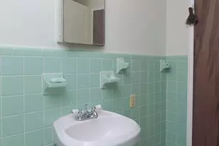 729 Magnolia St, Pelion, SC 29123 - Photo 54