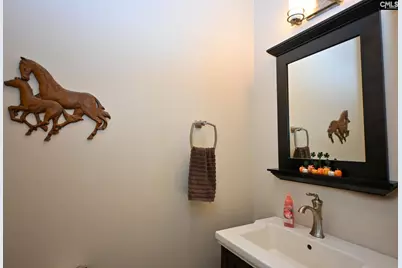 225 Pisgah Court, Lexington, SC 29072 - Photo 24