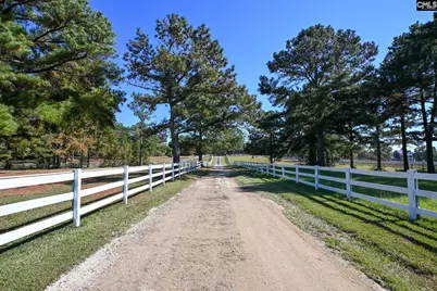 225 Pisgah Court, Lexington, SC 29072 - Photo 66