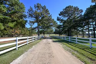 225 Pisgah Ct, Lexington, SC 29072 - Photo 66