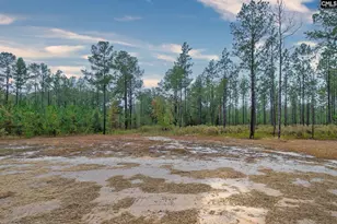 1023 Mt Zion Rd, Camden, SC 29020 - Photo 46