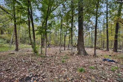 8857 Sc-215, Jenkinsville, SC 29065 - Photo 26