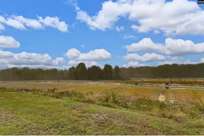 1467 Native Garden Road, Gilbert, SC 29054 - Photo 34