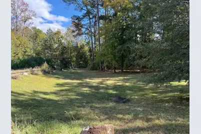 55 Holly Ridge Lane, West Columbia, SC 29169 - Photo 4