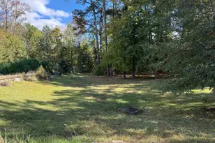 55 Holly Ridge Ln, West Columbia, SC 29169 - Photo 4