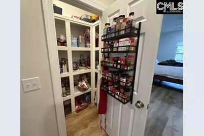 627 Living Waters Drive, Great Falls, SC 29055 - Photo 20