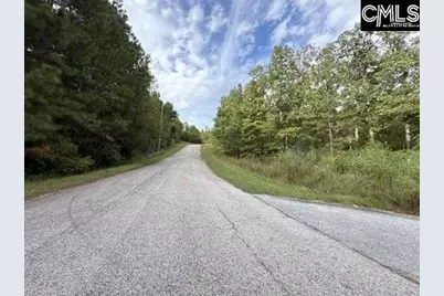 627 Living Waters Drive, Great Falls, SC 29055 - Photo 6