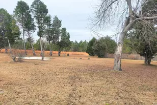 1107 Ardis Rd, Pinewood, SC 29125 - Photo 34