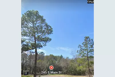 245 South Main Lot A Street #A, Gaston, SC 29053 - Photo 2