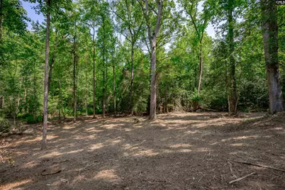 Brookhill East, Lexington, SC 29072 - Photo 8