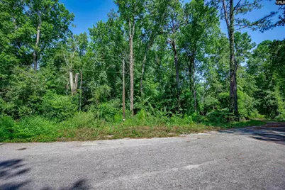 Brookhill East, Lexington, SC 29072 - Photo 6