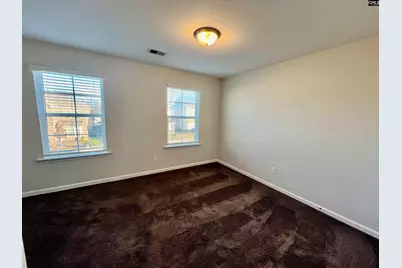 1351 Tamarind Lane, Chapin, SC 29036 - Photo 18