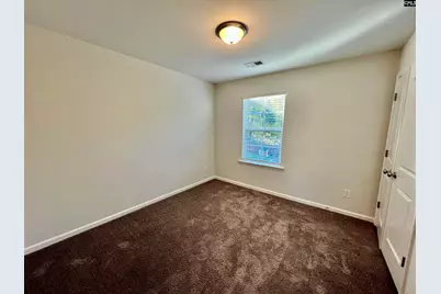 1351 Tamarind Lane, Chapin, SC 29036 - Photo 16