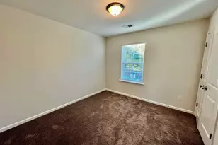 1351 Tamarind Ln, Chapin, SC 29036 - Photo 16