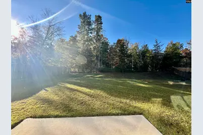 1351 Tamarind Lane, Chapin, SC 29036 - Photo 22