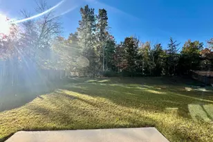 1351 Tamarind Ln, Chapin, SC 29036 - Photo 22