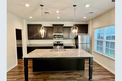 1351 Tamarind Lane, Chapin, SC 29036 - Photo 4