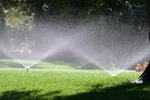 1024 Beaufort Farm Rd, Blythewood, SC 29016 - Photo 26