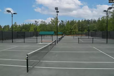 605 Scarlet Baby Drive, Blythewood, SC 29016 - Photo 54