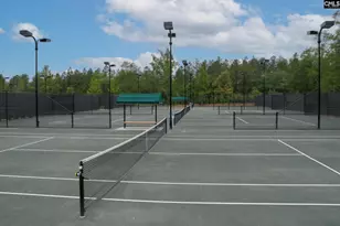 605 Scarlet Baby Dr, Blythewood, SC 29016 - Photo 54