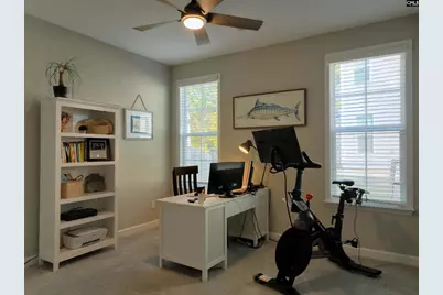 13 Botticelli Court, Chapin, SC 29036 - Photo 22