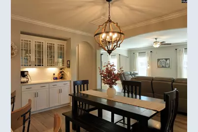 13 Botticelli Court, Chapin, SC 29036 - Photo 14