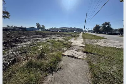 208 Mitchell Street, Batesburg, SC 29006 - Photo 4