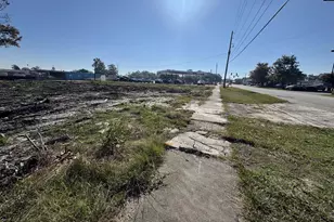 208 Mitchell St, Batesburg, SC 29006 - Photo 4