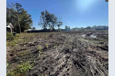 208 Mitchell Street, Batesburg, SC 29006 - Photo 6