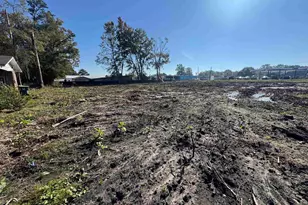 208 Mitchell St, Batesburg, SC 29006 - Photo 6