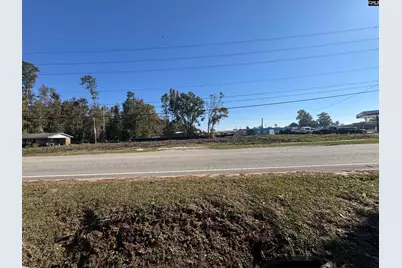 208 Mitchell Street, Batesburg, SC 29006 - Photo 8