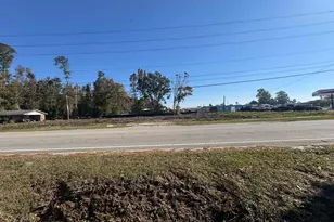 208 Mitchell St, Batesburg, SC 29006 - Photo 8