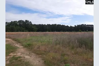 177 Thomas Griffin Road, Newberry, SC 29108 - Photo 4