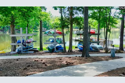 2351 Hadley Crossing, Chapin, SC 29036 - Photo 54