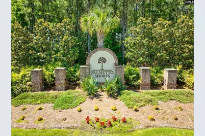 2351 Hadley Crossing, Chapin, SC 29036 - Photo 50